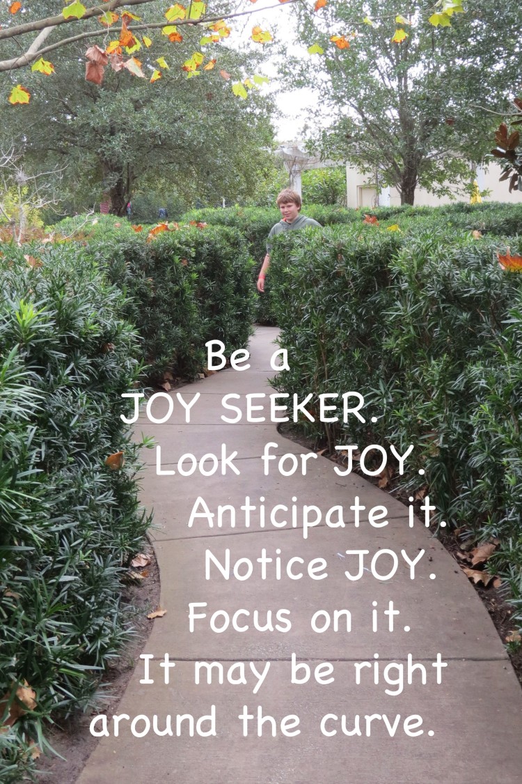 Be a JOY Seeker