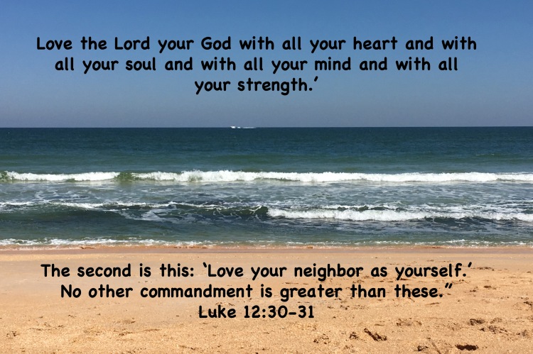 Luke 12-30-31